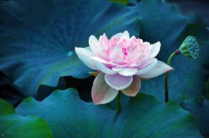 ���Ͼ� ����