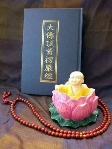 ���Ͼ� ����