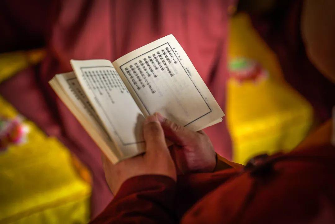 ��֮���������������ʤ�������������