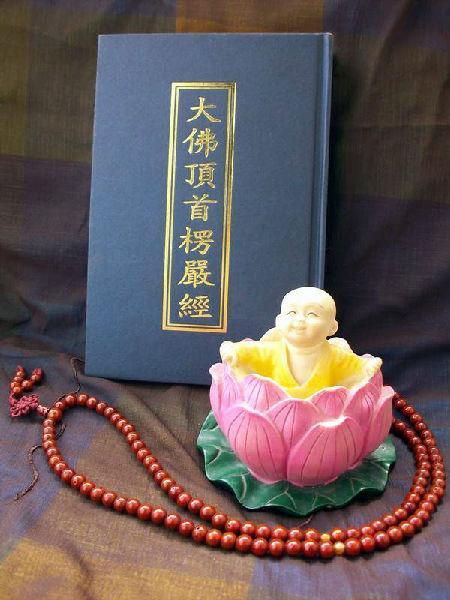 ���Ͼ� ����